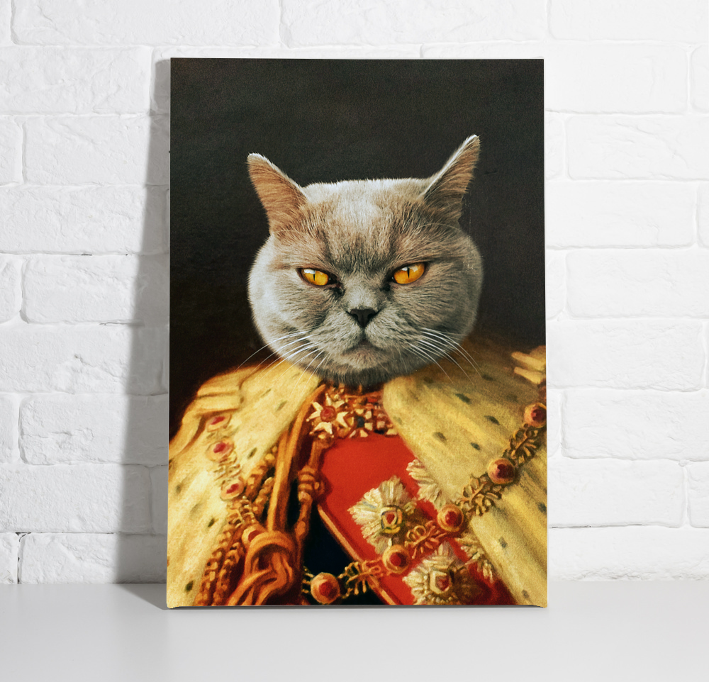Haustierporträt Kater Katze als König