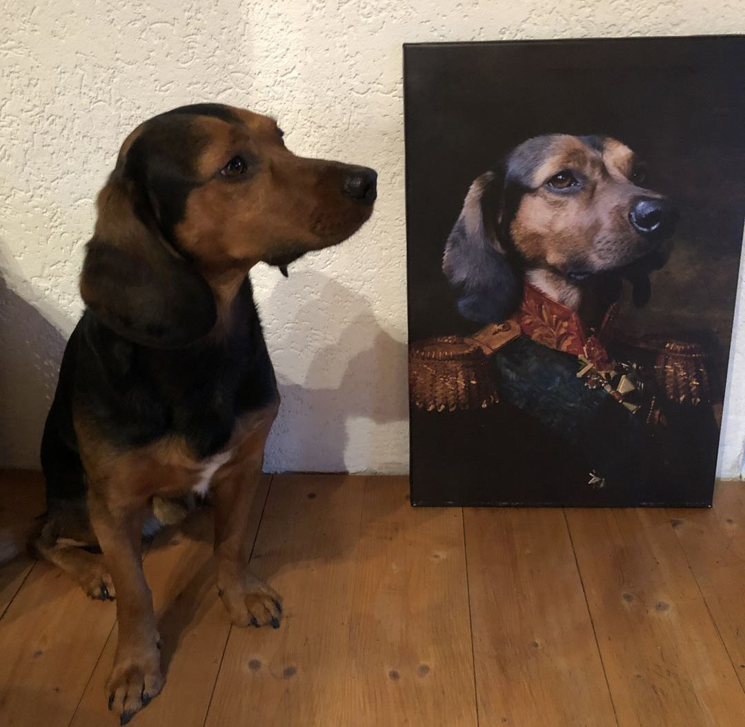 Der Offizier - Portrait von deinem Haustier in Uniform