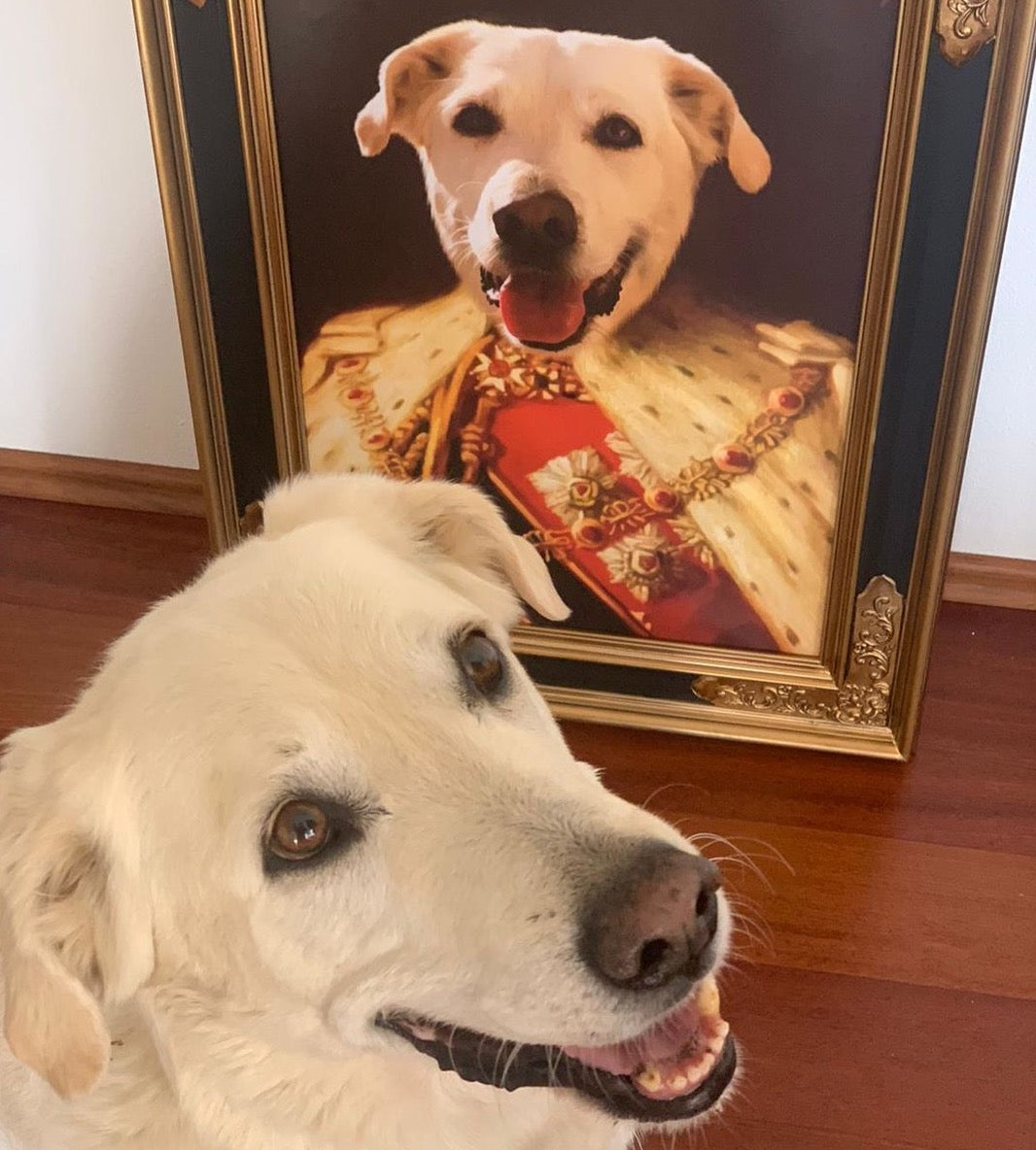 Der König - Portrait von deinem Haustier in rotem Umhang